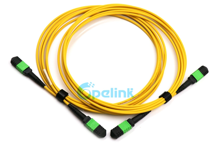 High Performance High-Density MPO-MPO Trunk Fiber Jumper with Factory Price