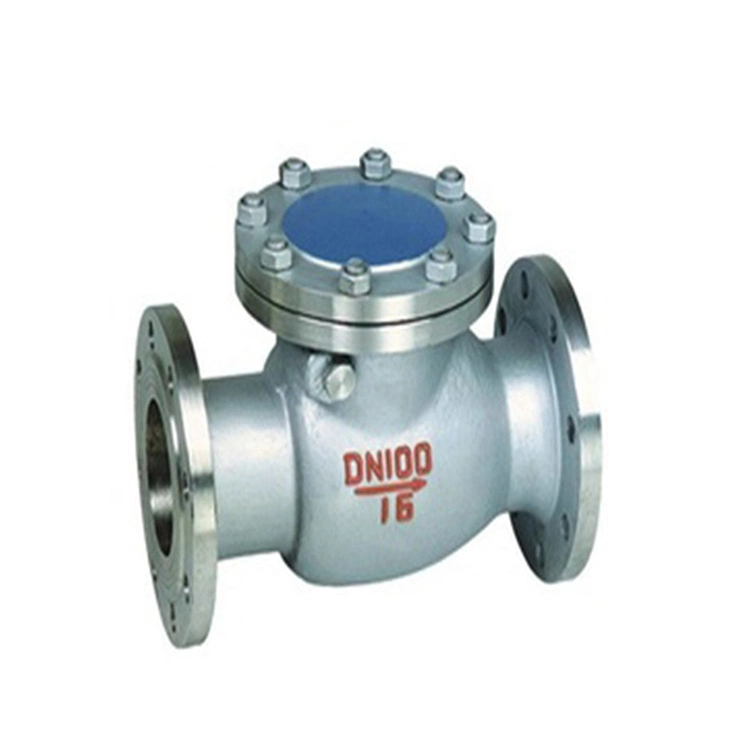 Petroleum Chemical 304 Stainless Steel Wcb Swing Type Check Valve