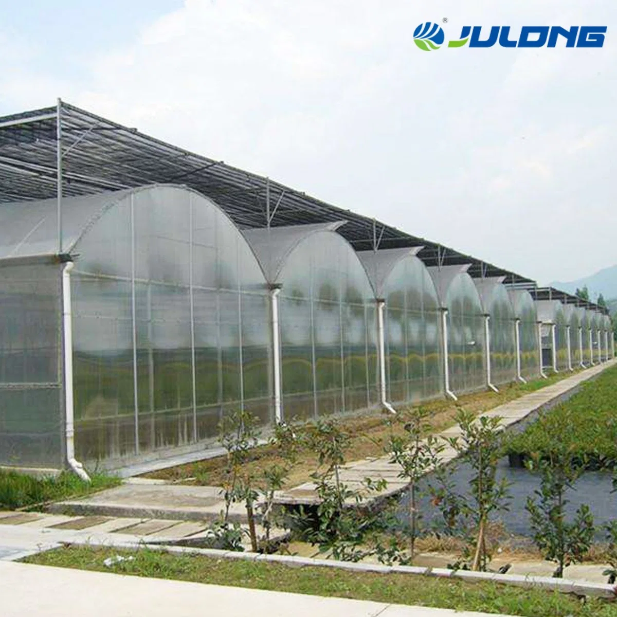 Polycarbonate Sheet Greenhouse for Hydroponic Growing Planting with Low Cost