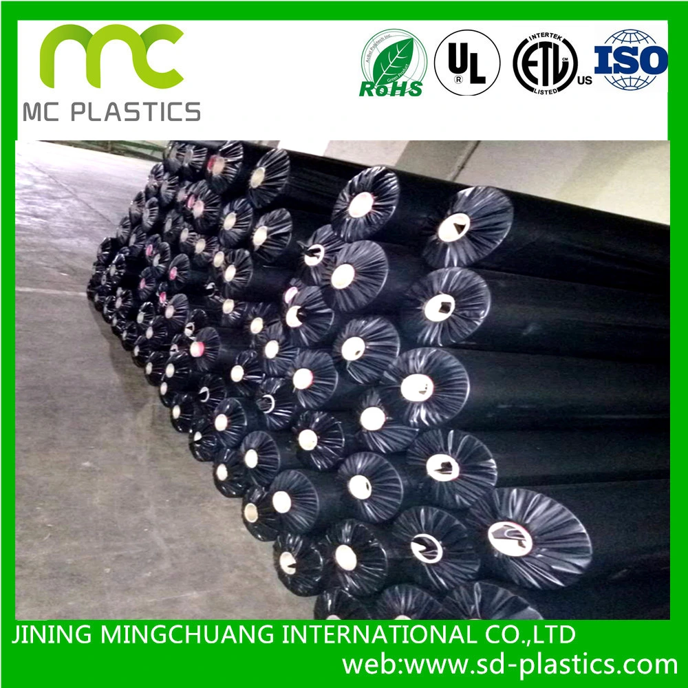 PVC /PE Liner Rolls for Tunnel, Swimming Pool, Pond and Construction