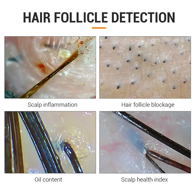 Home Use Follicle Detection Face Scanner Анализ волос Красота Прибор для анализа кожи лица, оборудование салона