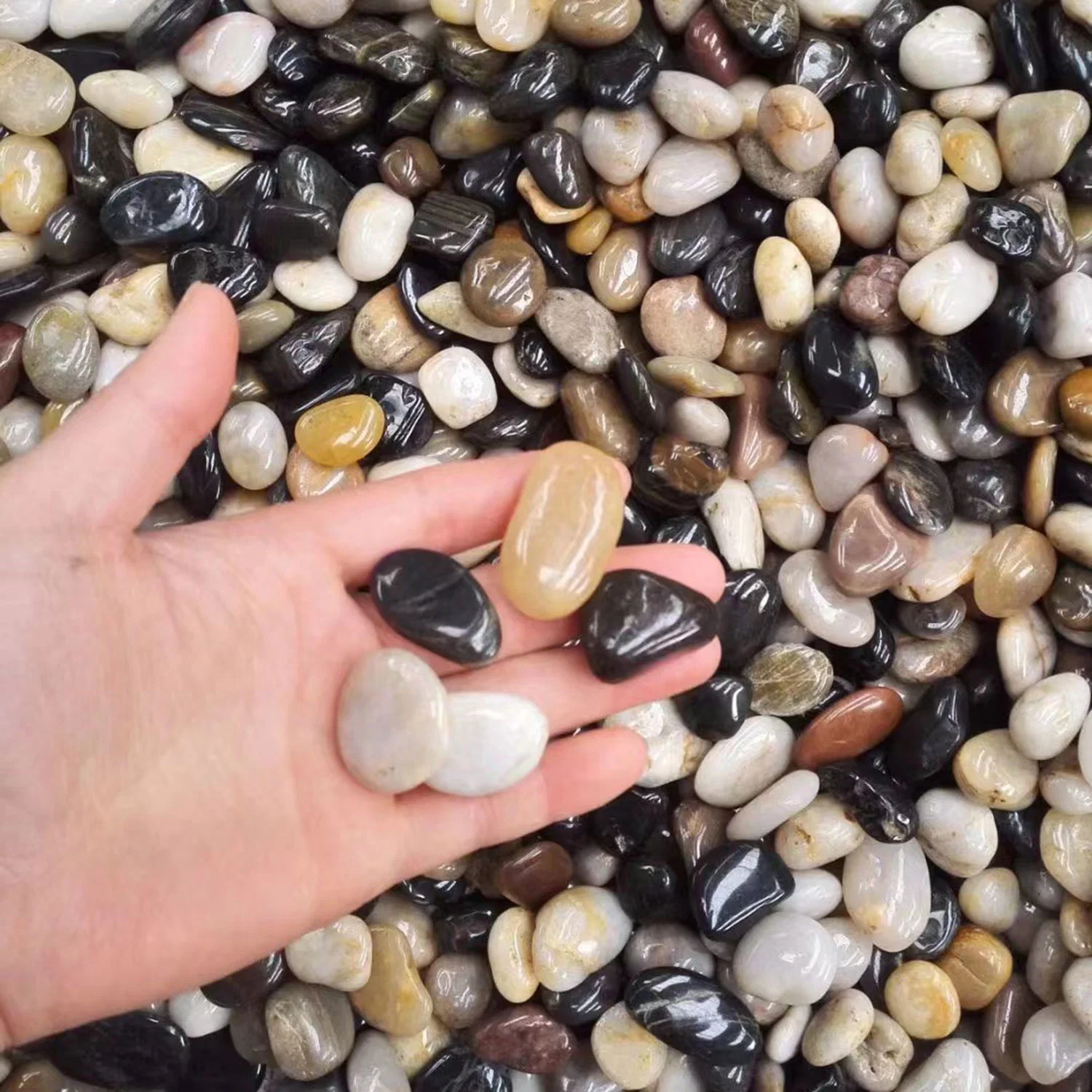 Jardín paisaje Pebbles Alto pulido Natural piedras del Río Rojo pulido River Rocks