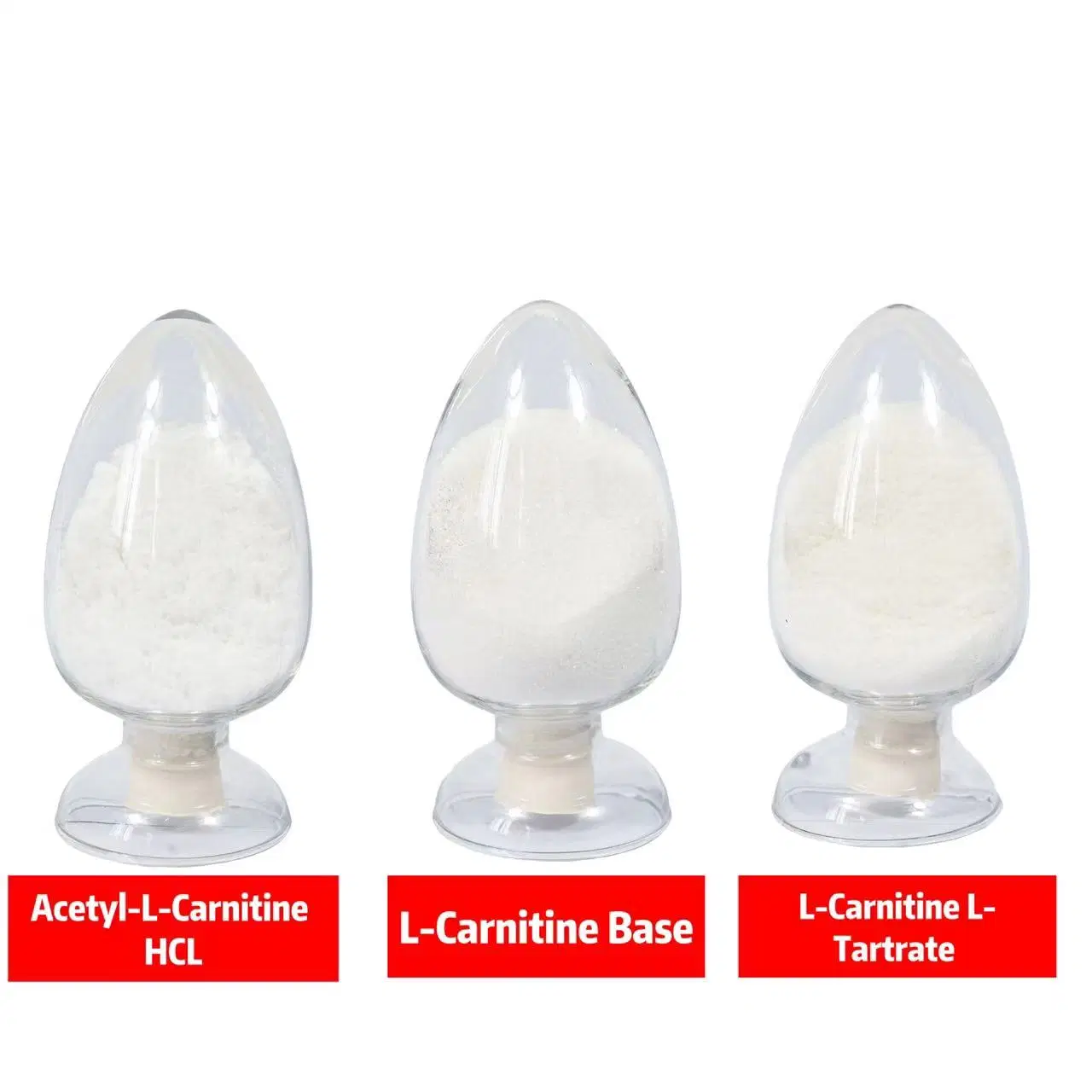 Large Stock 99% Powder CAS 36687-82-8 L-Carnitine-L-Tartrate Original Factory Selling