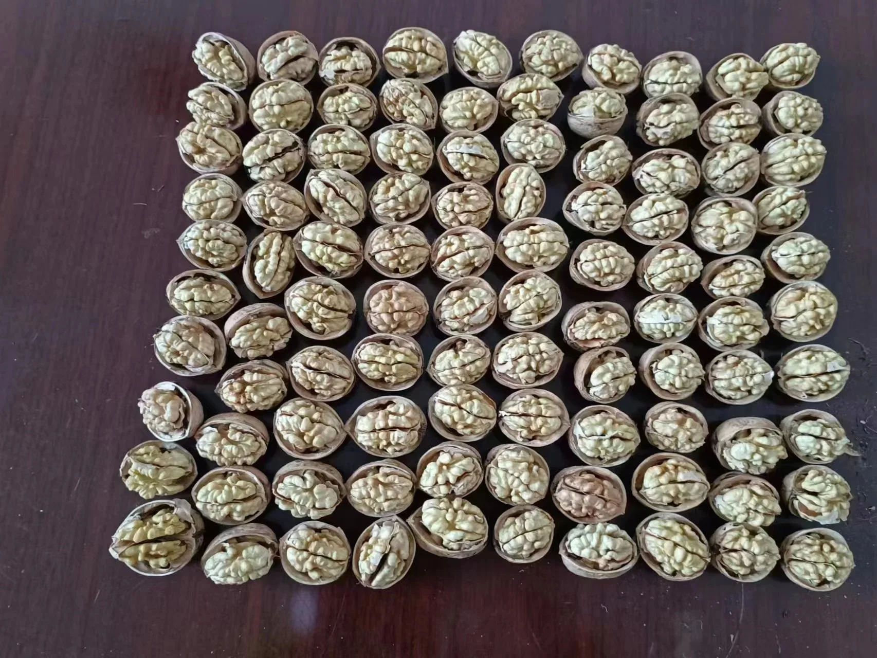 2023 Crop Walnuts Inshell 185 Walnut New Crop China