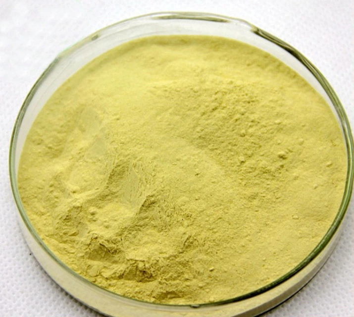 Bulk Supply Pure 99% Caffeic Acid 3 4 Dihydroxycinnamic Acid Powder