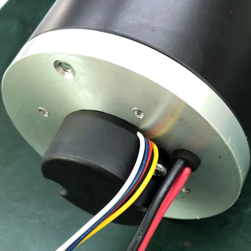 Juicer Worm Motor 24V High Torque DC Gear Motor 100 Rpm Dual Shaft