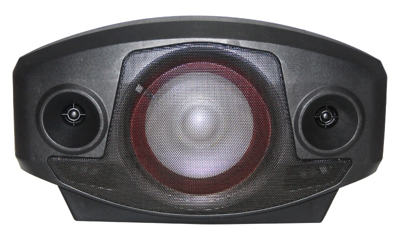 30W RMS Power 8 Inch Music Sound Box