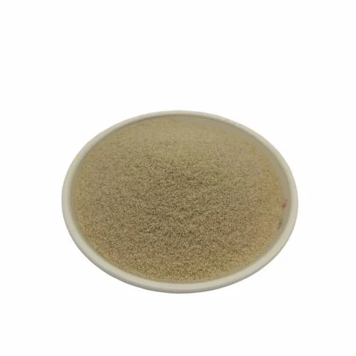 Supply Sodium Alginate Particles and Powder