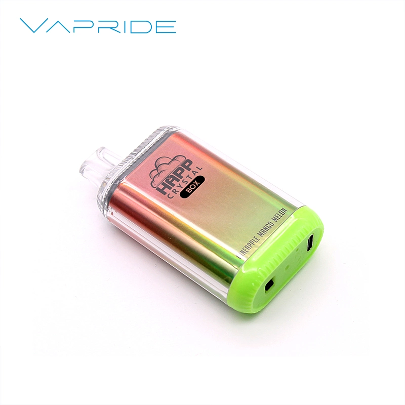 OEM Marca 12000 Puffs VAPE lápiz desechable vape con malla Bobina