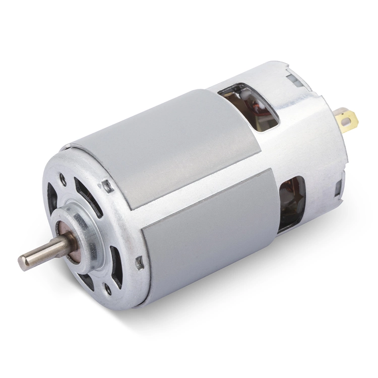 High Power Custom 12 24 Volt DC Motor Ie1 RS 755 775 Electric Brush DC Motor with Permanent Magnet