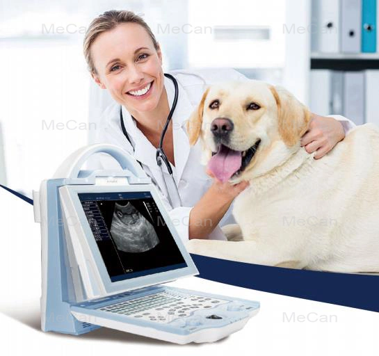 Portable Vet Color Ultrasound Scanner for Veterinary Use