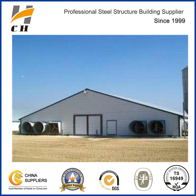 Steel Structure Prefab Pig House and Equipment System