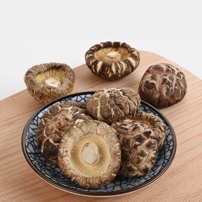 China Großhandel gesunde Lebensmittel getrocknete Pilz mit Shiitake