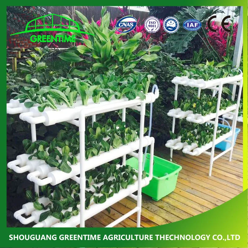 China Supplier Agriculture Vertical Hydroponics System Vertical Growing System Indoor for Vegetable/Flower/Fruit