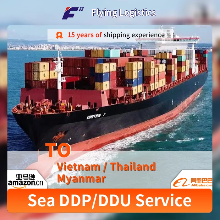 International Shipping Company Ship China to Vietnam/Thailand/Myanmar Sea Freight Forwarder