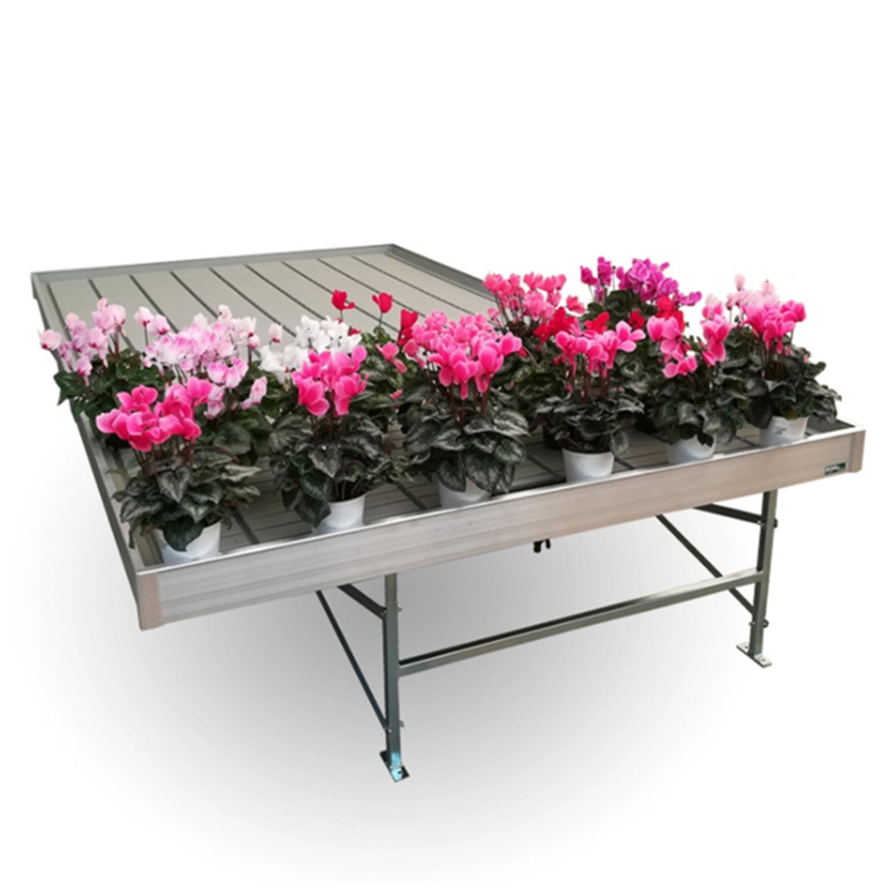 Rolling Bench for Vegetables Ebb and Flow Tray Seeding Seedbed Greenhouse