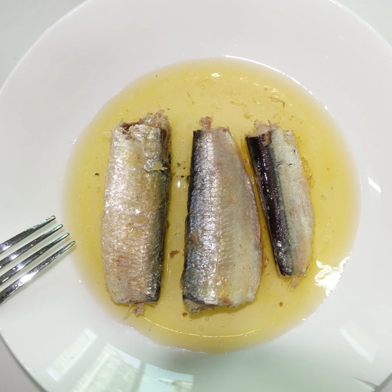 Fresh Fish Canned Sardine in Oil with Best Price