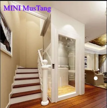 Best Selling FUJI Brand Price for New Style Square Home Lift Cabin Residential Construction Passenger Home-Use Elevator