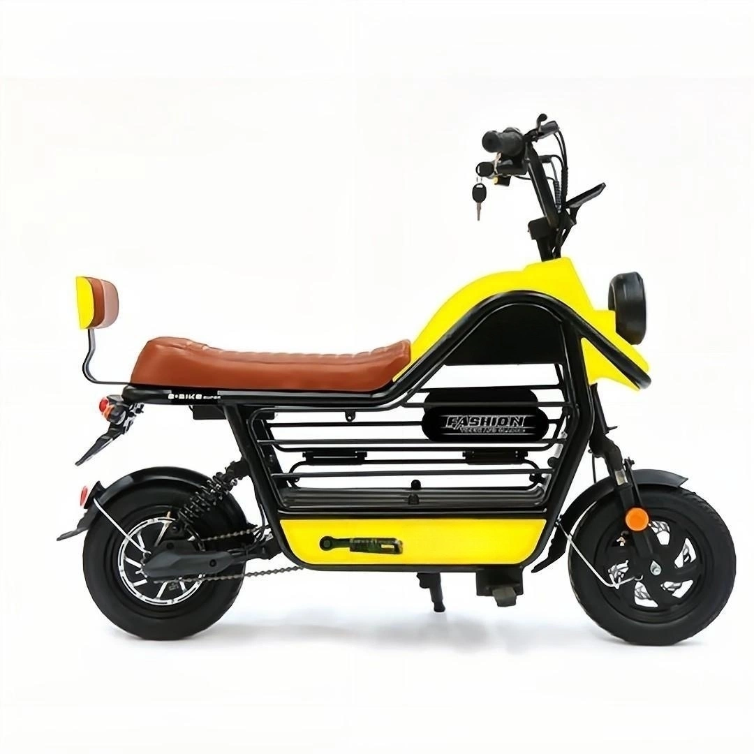 Bxb-114e Family Shopping Warm Travel with Petselectric Motor Bike