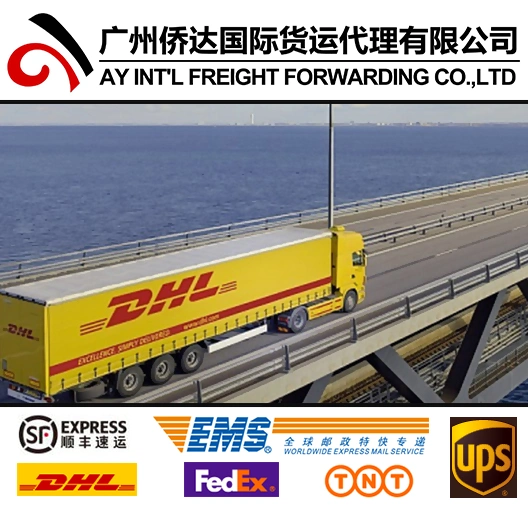 Sea Freight for Foshan Furniture Container to Rotterdam/Hamburg/Antwerp/Le Havre by Sea