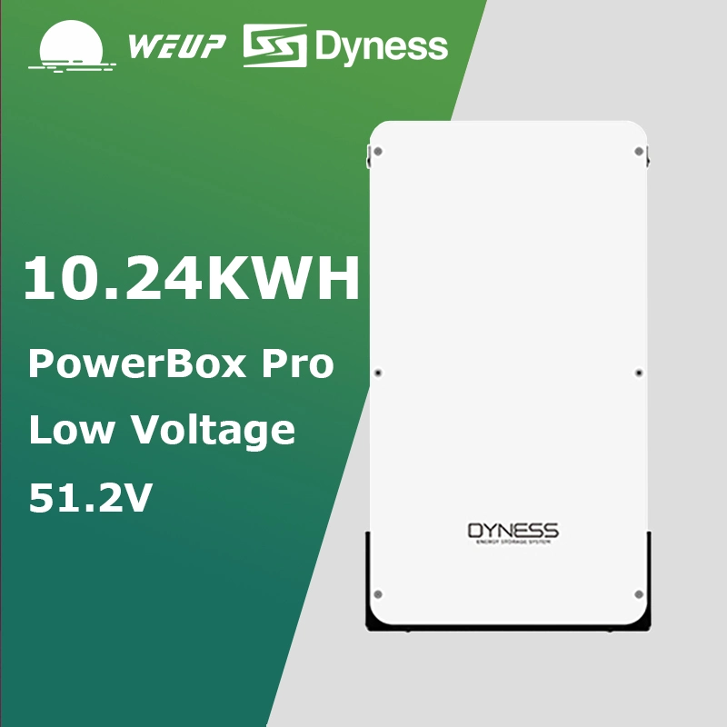 Dyness 48V 51.2V 10.24kWh Batterie Powerwall Lithium Powerdepot Pack de Batterie Li-ion