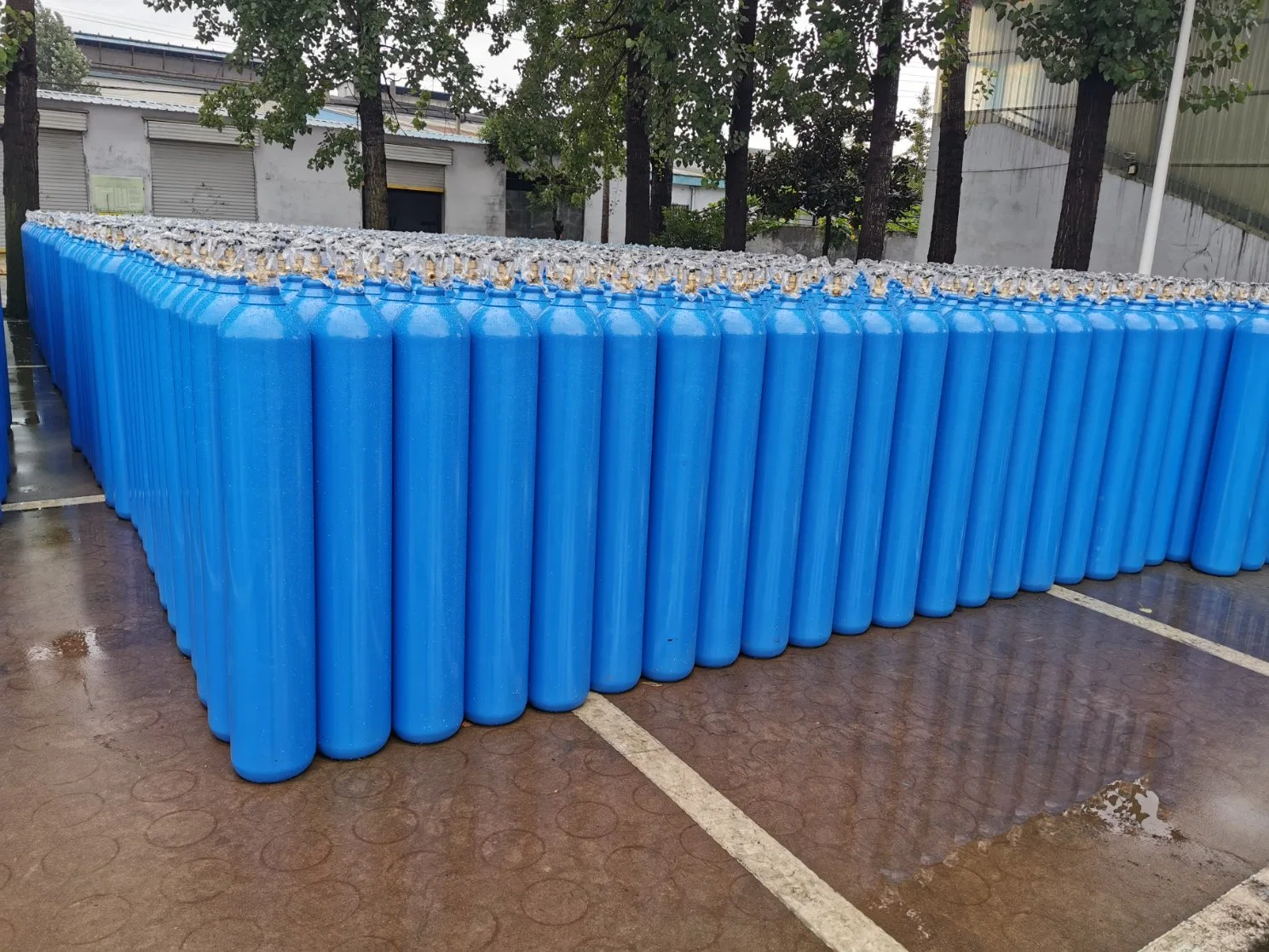 Seamless Steel Ya Brand Storage Tank Industrial Mixgases Equipment 40L