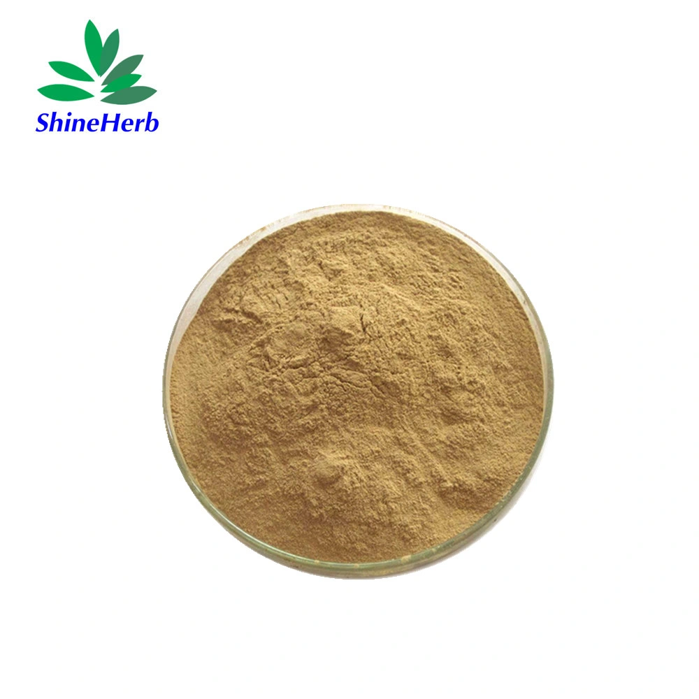 Natural Peanut Shell Extract Luteolin 98% Luteolin Powder with Best Price