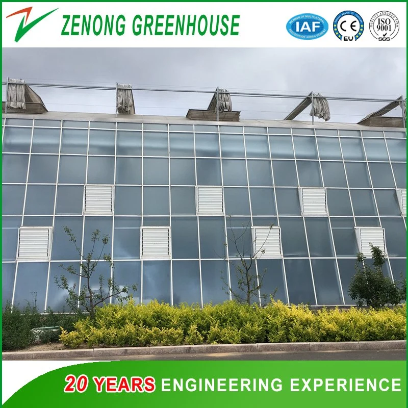 New Style Float Glass Multi-Span Greenhouse with Automatic Control system for Toursim/High-Tech Display/Ecological Picking