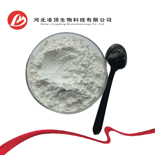 Liver Disease Drug Oleanic Acid CAS 508-02-1 with Good Quality