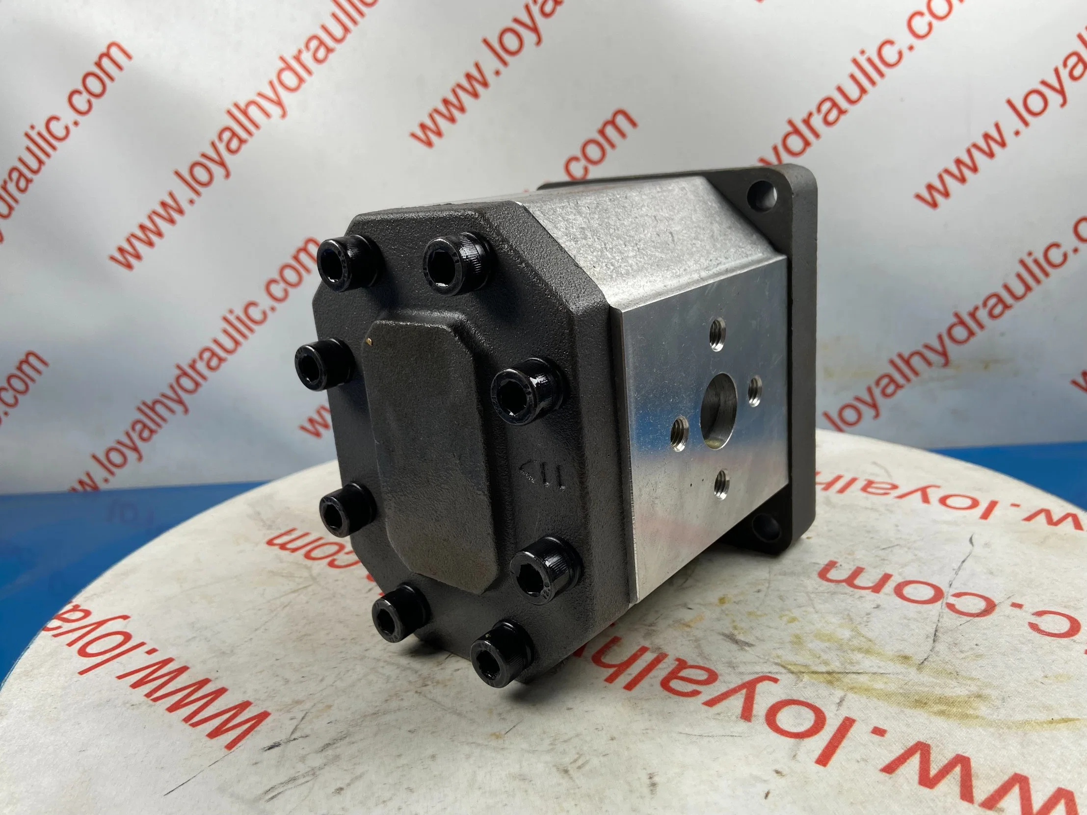 L-Caproni Hydraulic Gear Pump 30A42/30A46/30A46/30A50/30c32/30c36 for Forklift, Crawler Excavator, Agricultural Machinery, Tractor Spare Parts