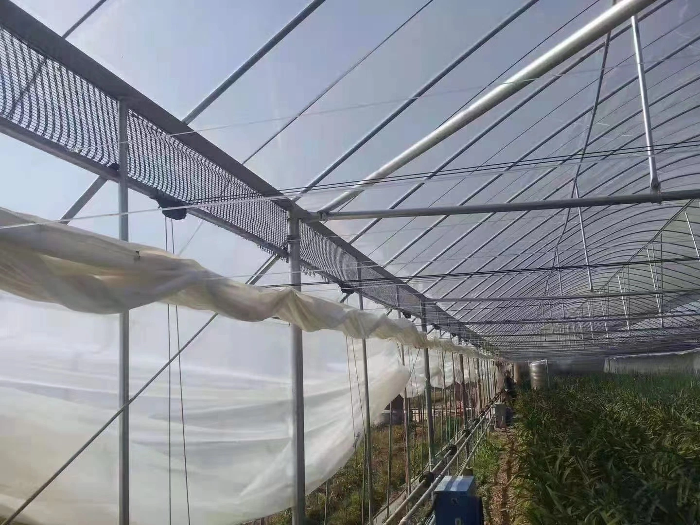 Película plástica tratada con UV, película de invernadero transparente para uso agrícola para cobertura de invernadero a buenos precios