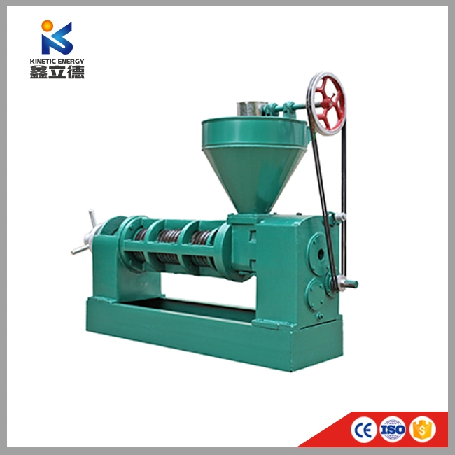 Small Capacity Prickly Pear Seed Avocado Oil Extraction Machine