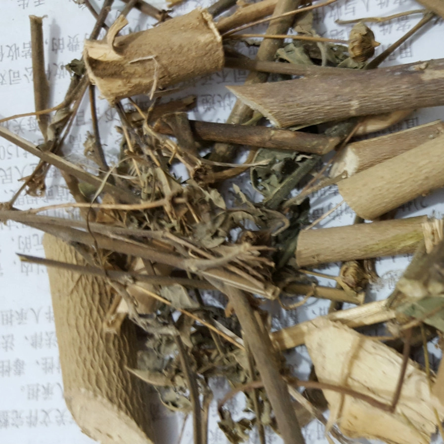 Huang Hua Ren Medicina herbaria seca SIDA acuta Hoja SIDA Rhombifolia