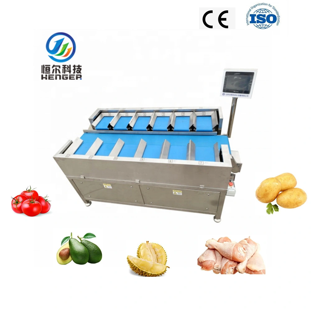 Professional Specialized Factorial Belt Conveyor Scale