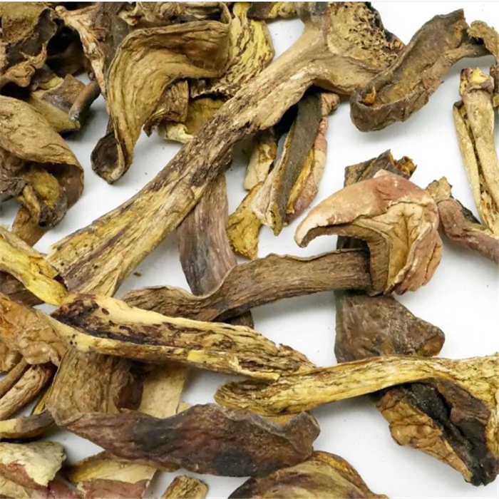 Niu gan jun Bulk Dried Wild Yellow King Boletus Edulis Mushrooms