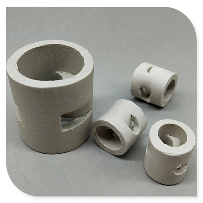 Ceramic Pall Ring Manufacturer