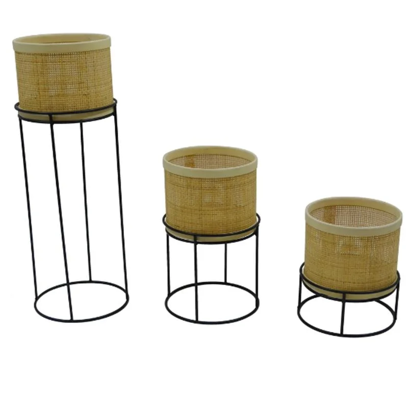 Stand Rattan Basket Rattan Weave Magazine Rack Garden Rattan Plant