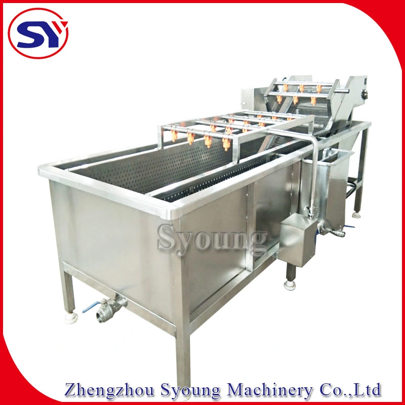 Air Bubbling Water Commercial Washer for Fruit and Vegetable Processing Line