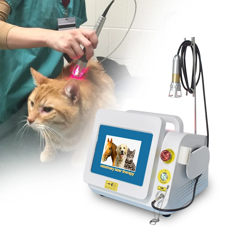 Venda a quente Fisioterapia Equipamentos 980nm Pet Animal cuidados veterinários a máquina a Laser