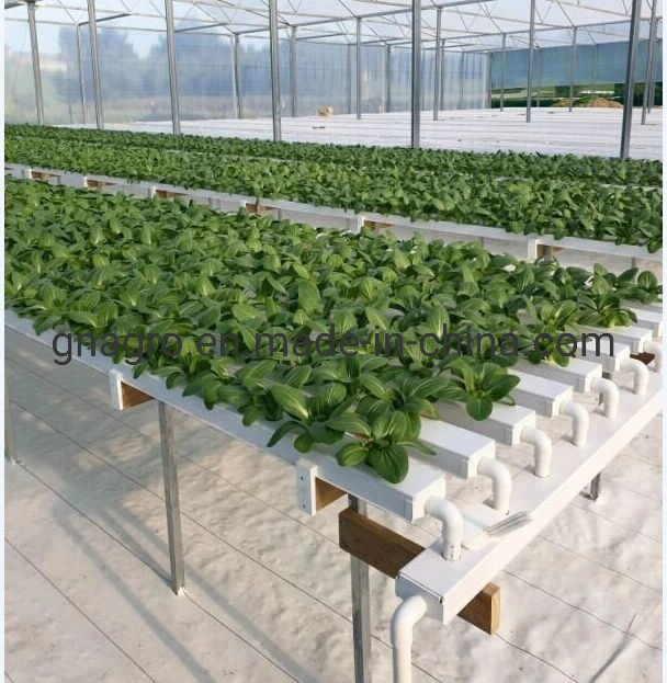 Los sistemas de cultivo vertical de plástico fresas canal para la Agricultura Nft