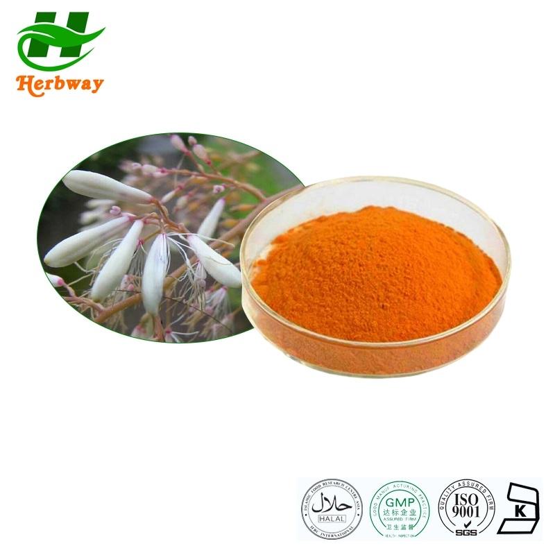 Herbway Kosher Halal Fssc HACCP Certified Botanical Extract Total Alkaloids Macleaya Cordata Extract