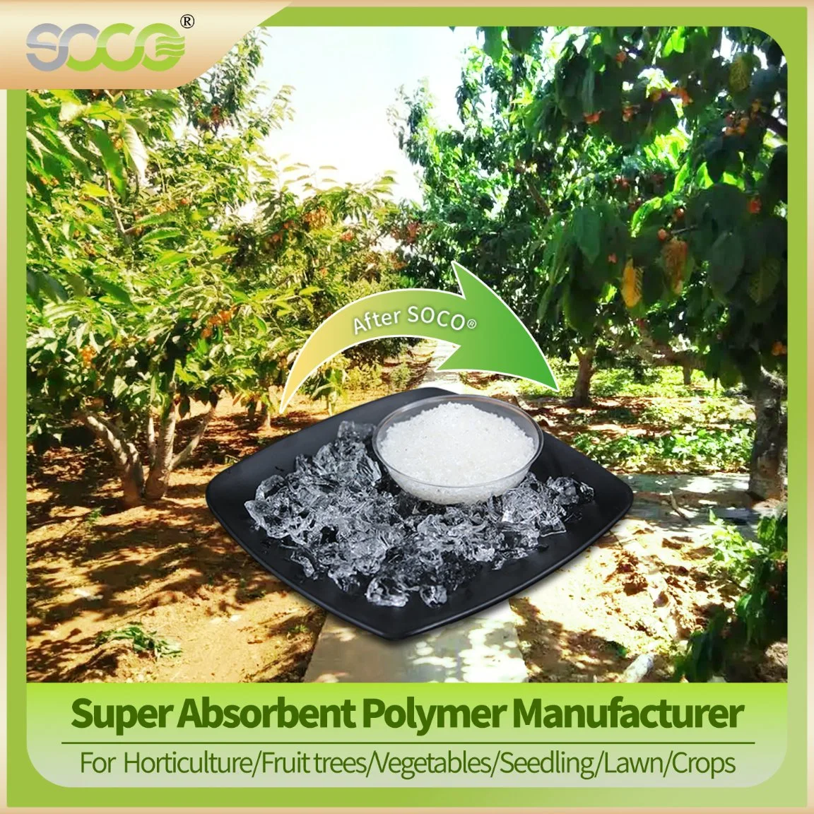 Super Absorbent Polymer Powder,Sodium Polyacrylate Hydrogels,Potassium Polyacrylate Crystal Gel,Sap Manufacturer for Agriculture,Industrial,Plants,Vegetables