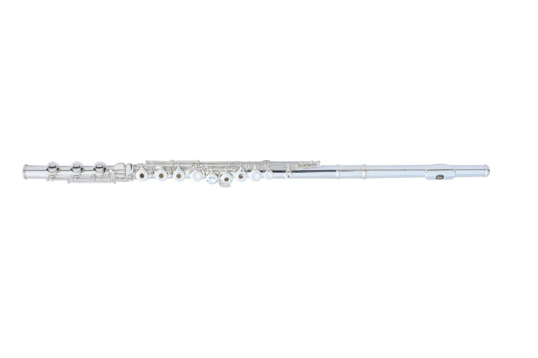 Good Student Flute with B Foot Manufacturer