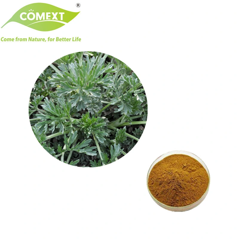 Comext Chinese Herbal Factory Dried Sweet Wormwood Herbs Artemisia Capillaris for Medicine Use