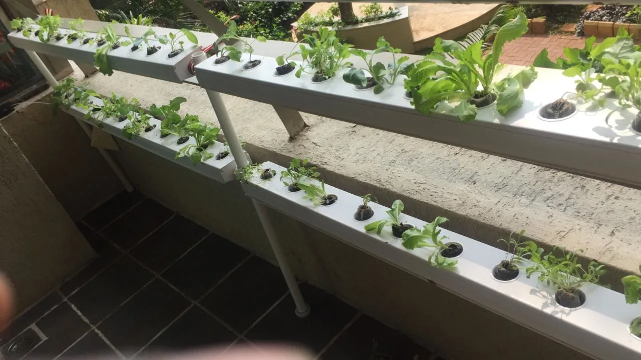 Wholesale/Supplier Home Garden Hydroponic Planting with Mini Nft Channel System