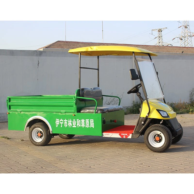 2 Seat Lead Acid Battery Electric Golf Car with Cargo Bucket