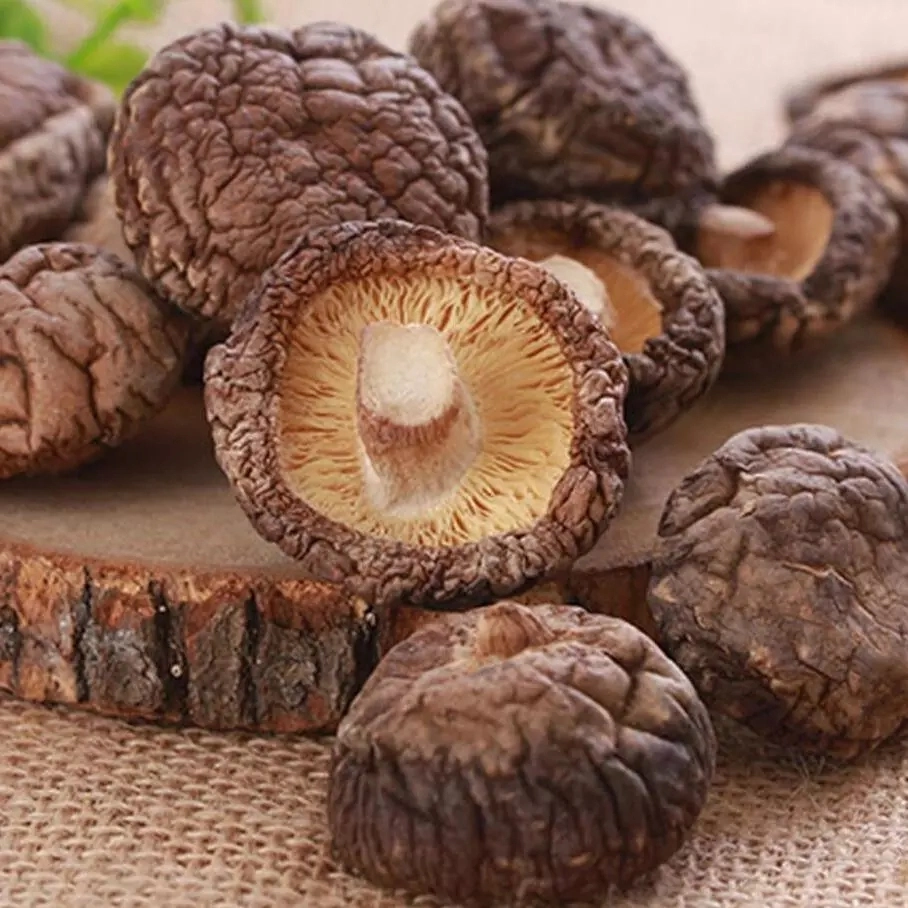 Beste Getrocknete Lebensmittel Starb Hand Machen Shiitake Pilz Kultiviert Verpackt Durch Versiegelungsbeutel