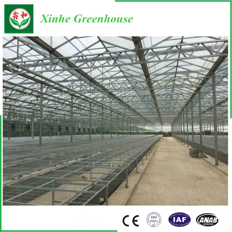 Automatic Control System Glass Green House for Agriculture
