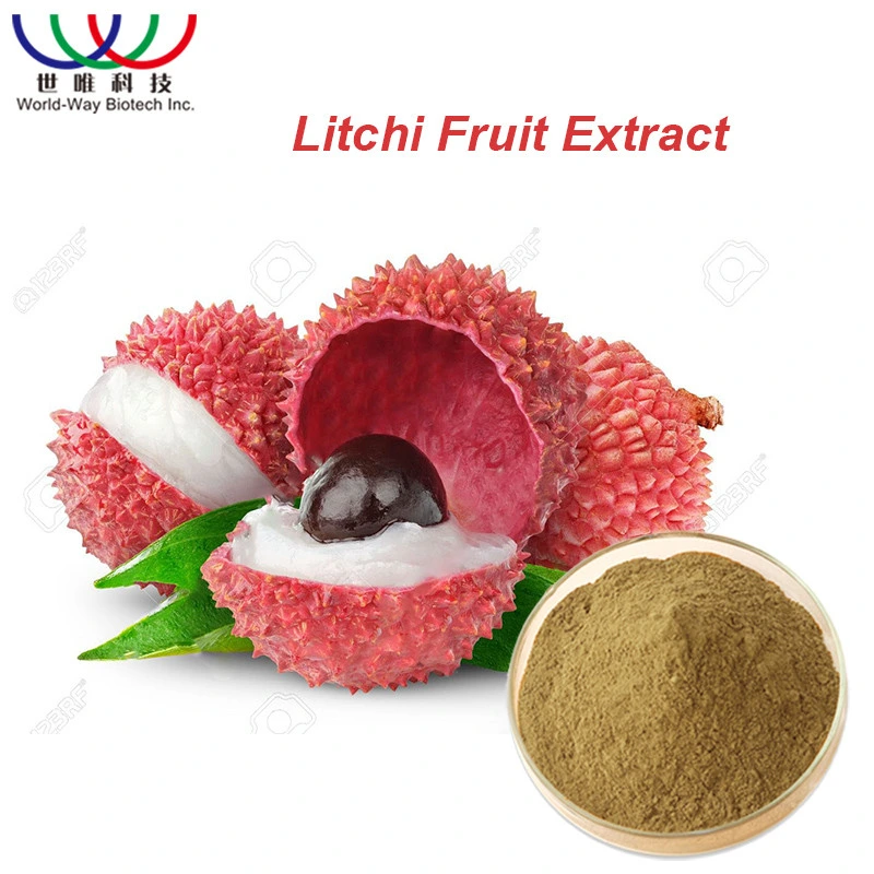 Factory Supplier High Quality 10%~40%Polyphenols Fruit Litchi Extract Powder