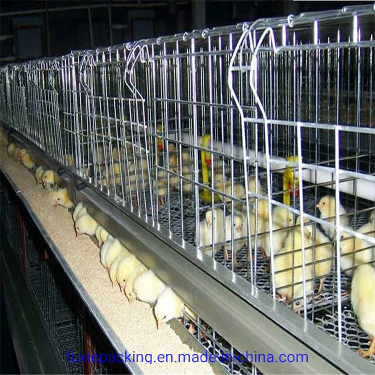 Poule pondeuse complètement automatique d'alimentation/batterie de la couche d'oeufs de poulet du système des cages de type H